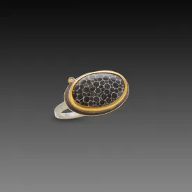 Bryozoan Fossil Ring