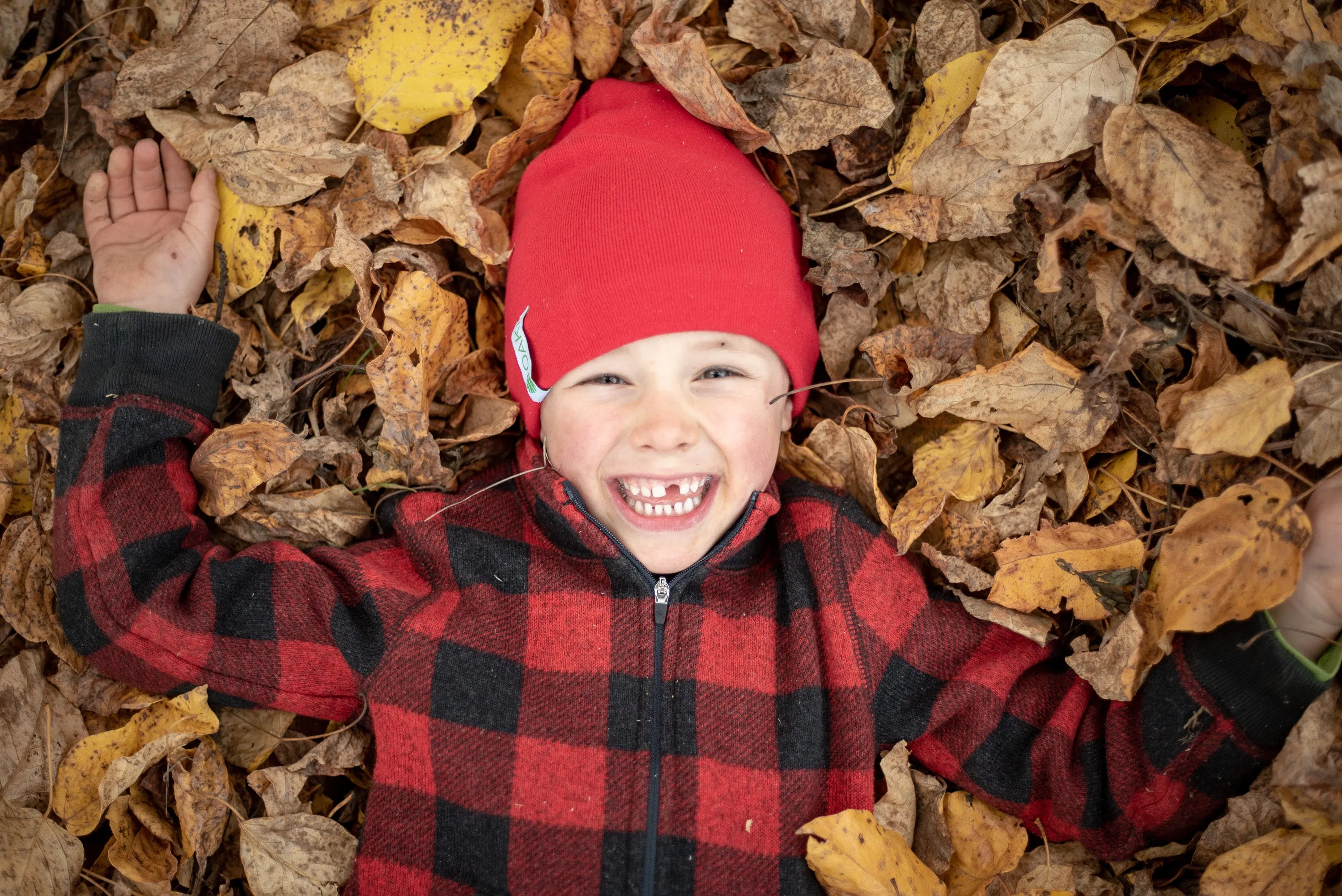 CLEARANCE: Merino Wool Toddler/Little Kid Beanie, Navy