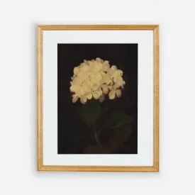 Dark Vintage Floral Wall Art