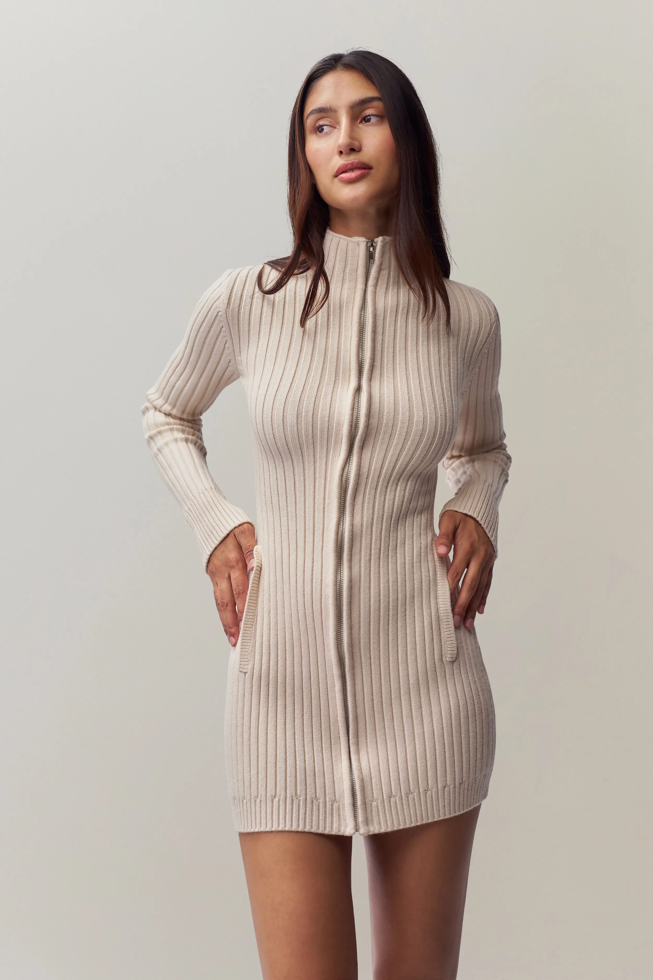 Nell Zip Up Dress