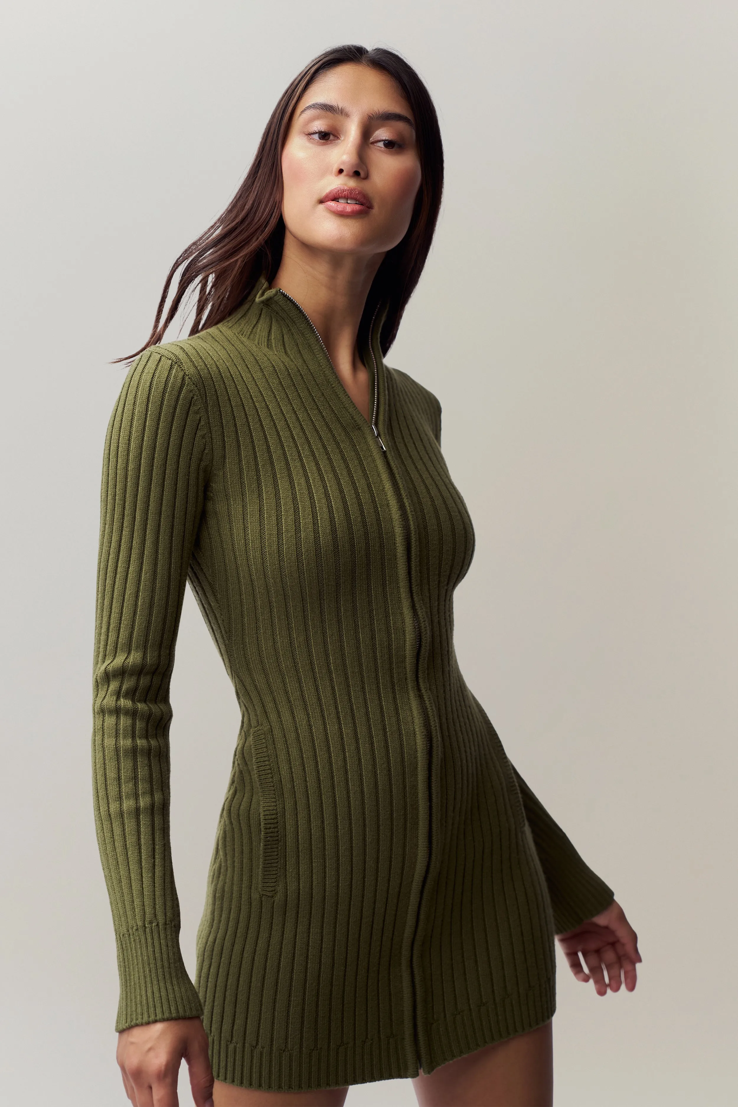 Nell Zip Up Dress