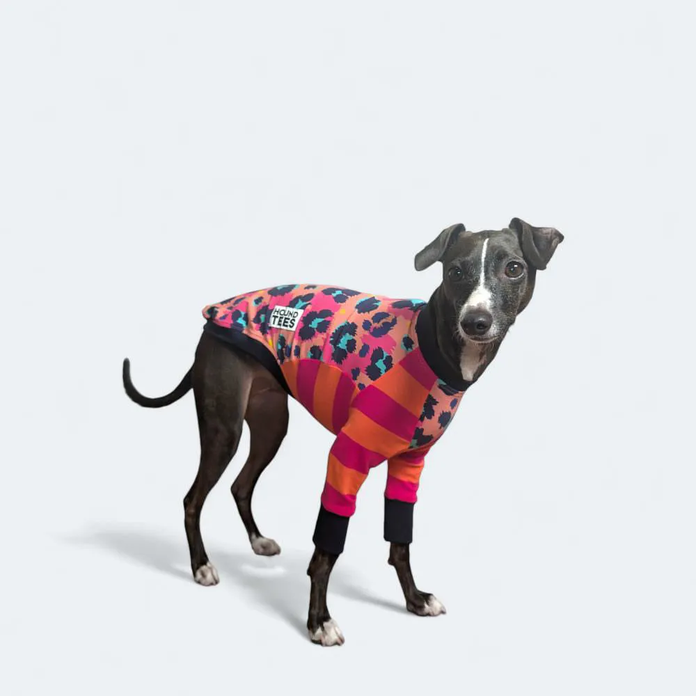 Peggy Disco Greyhound Long Sleeve Hound-Tee