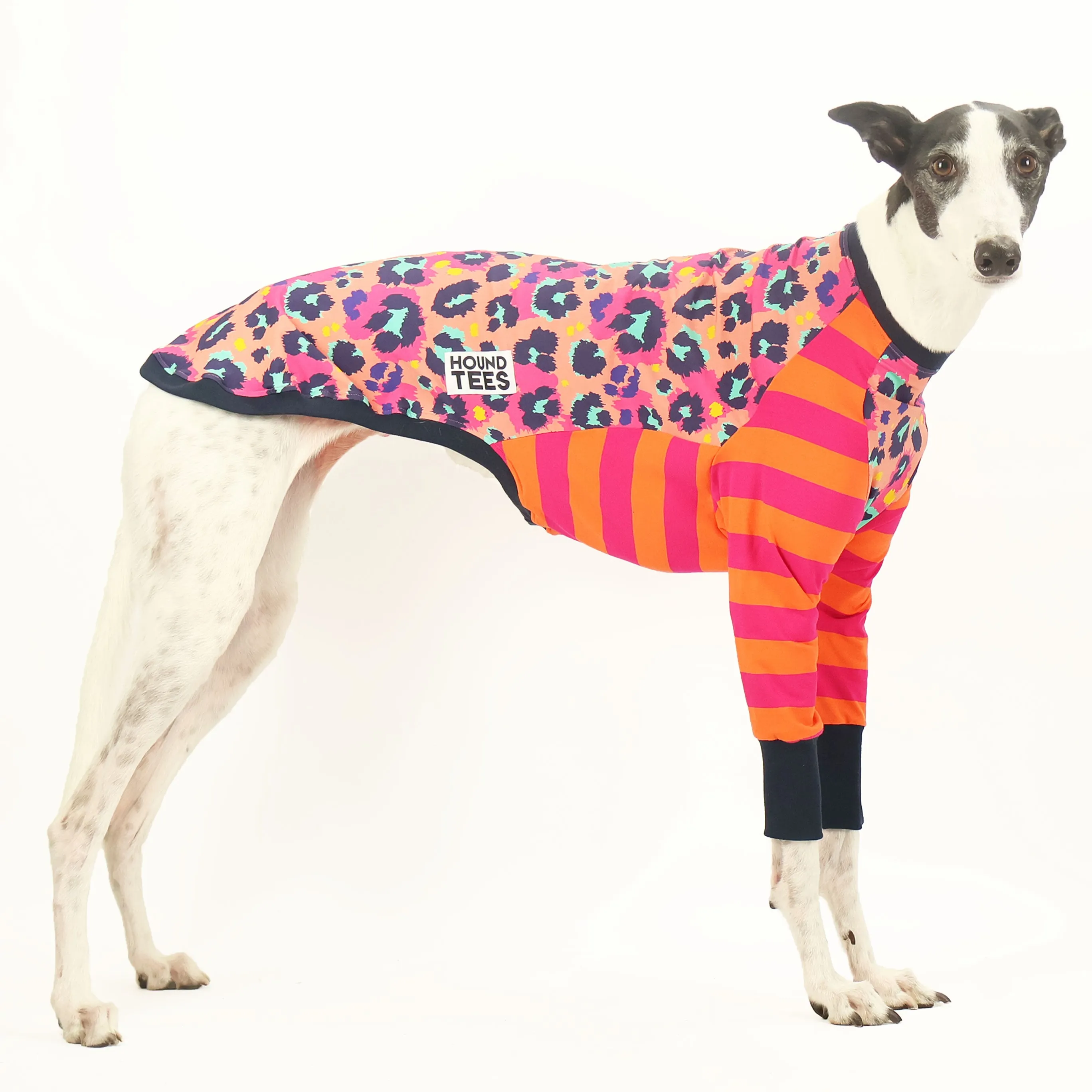 Peggy Disco Greyhound Long Sleeve Hound-Tee